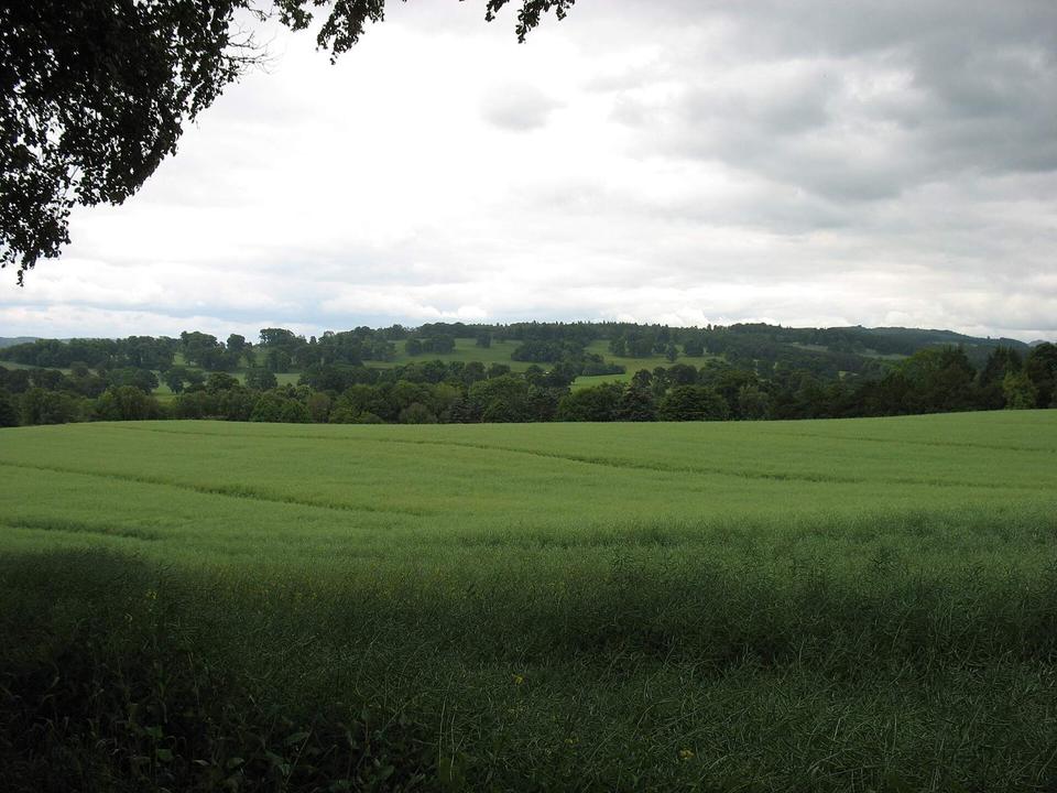 Field above Monteviot House