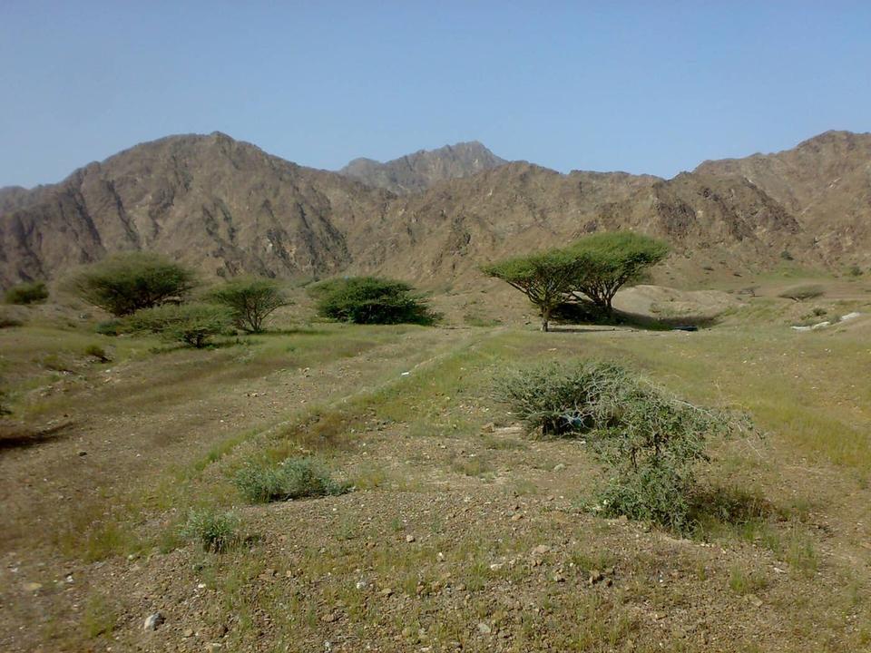 Cycling in Dadna