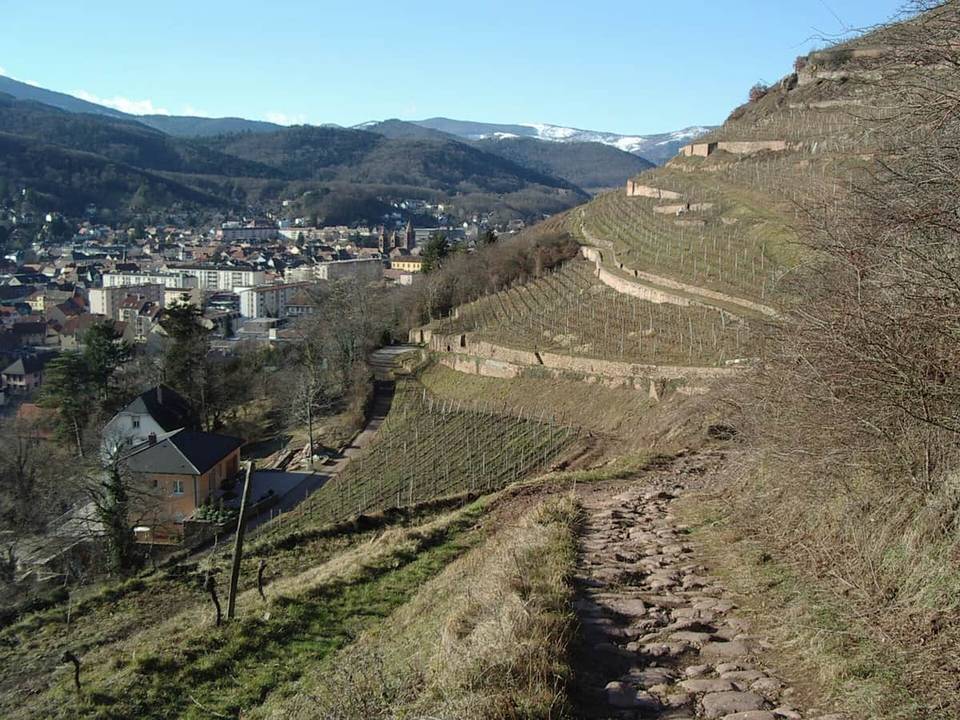 Cycling in Guebwiller