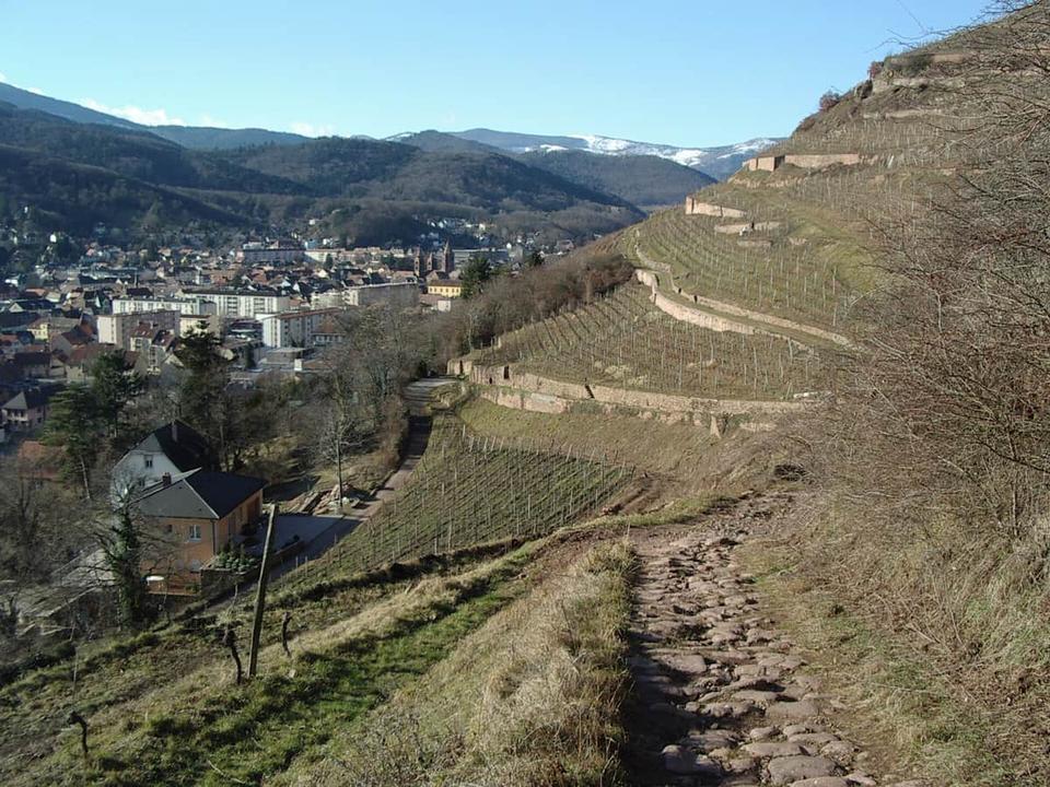 Cycling in Guebwiller