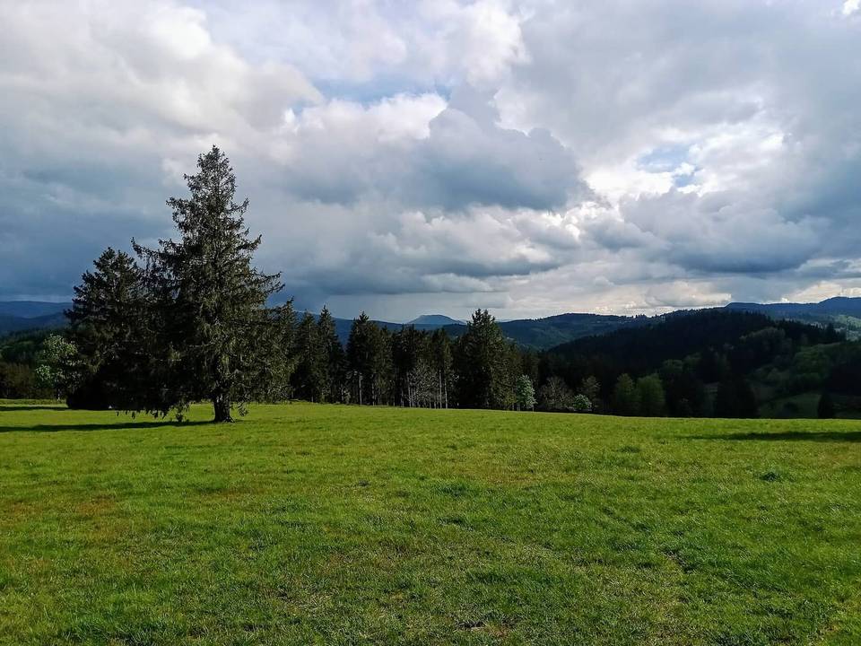 Cycling in Schirmeck