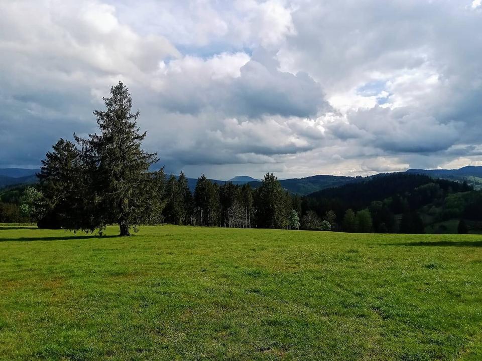 Cycling in Schirmeck