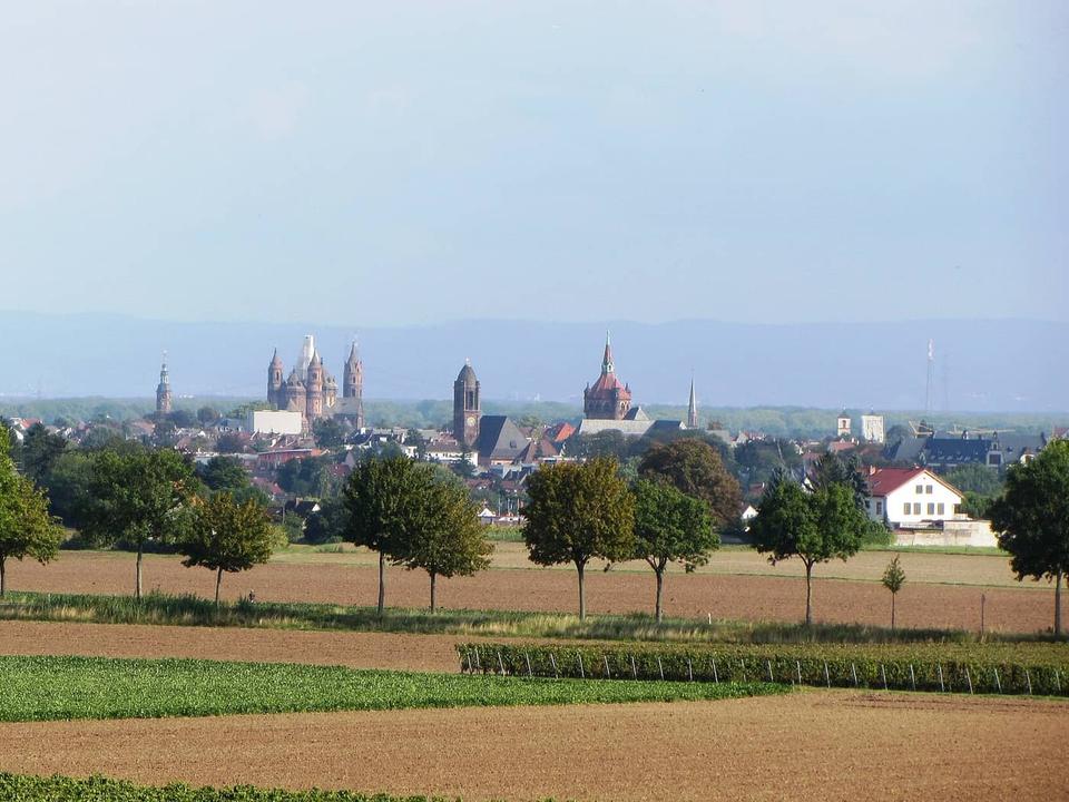 Cycling in Worms