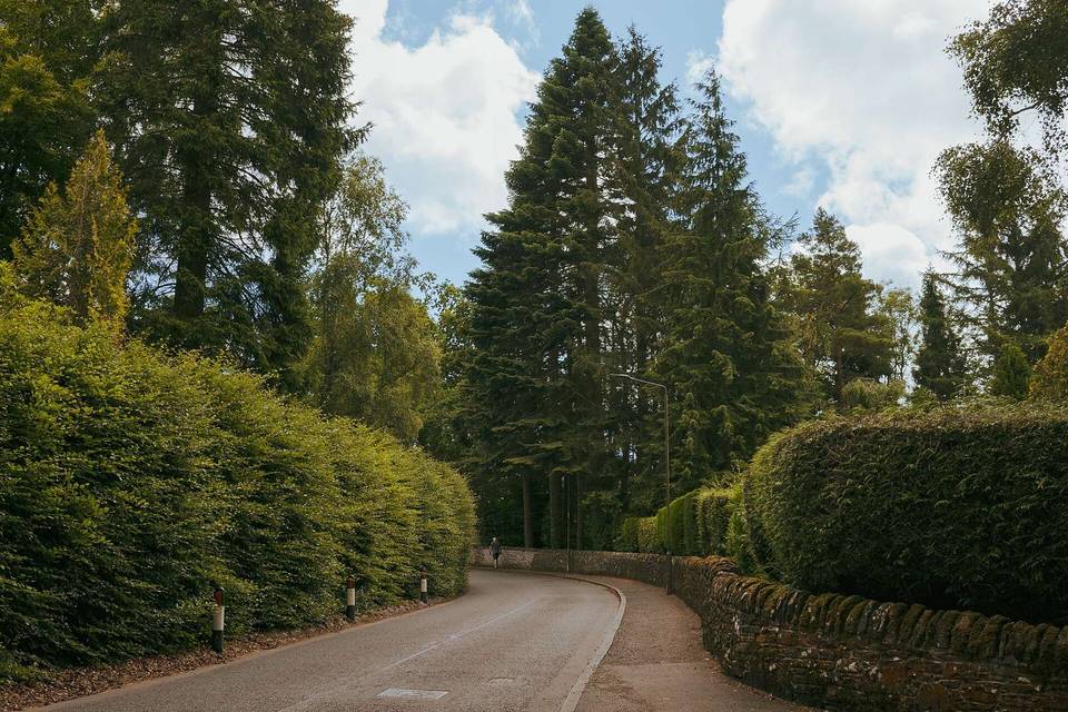 Hedges and trees on Glen Road, Dunblane, Scotland