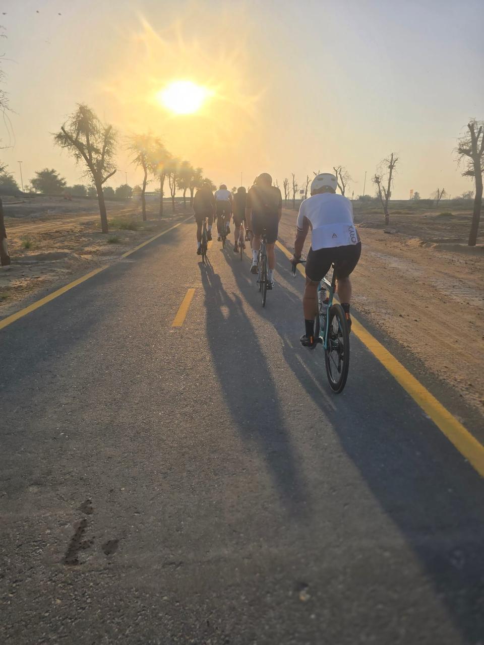 On the road: Al Qudra - Just the Stick
