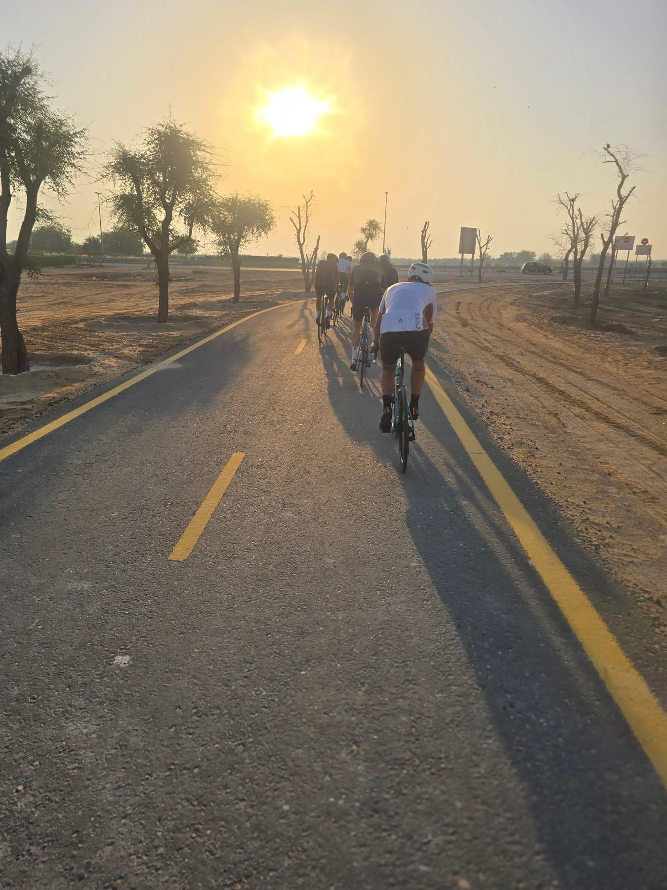 On the road: Al Qudra Stick and Solar Park