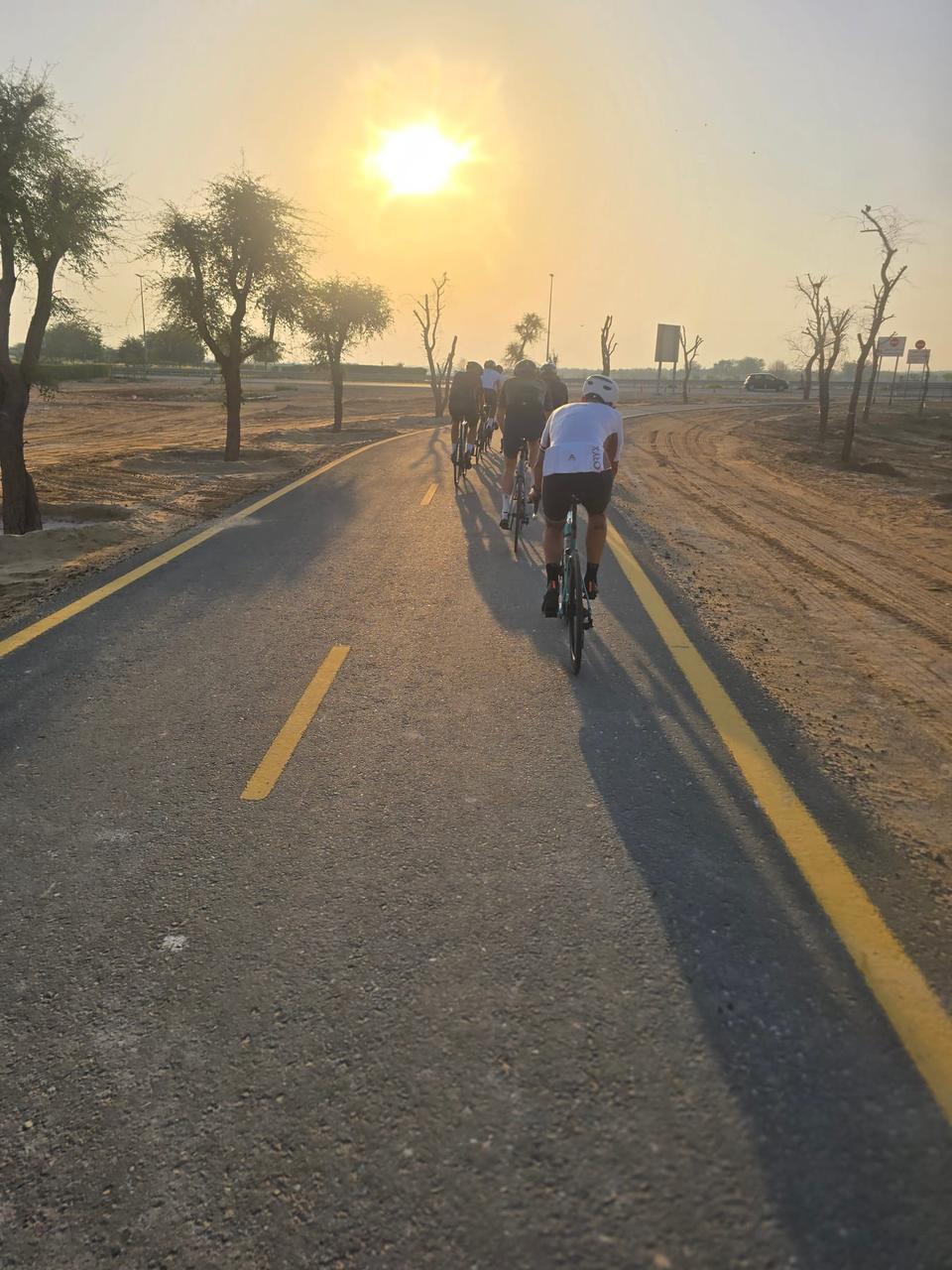 On the road: Al Qudra Stick and Solar Park