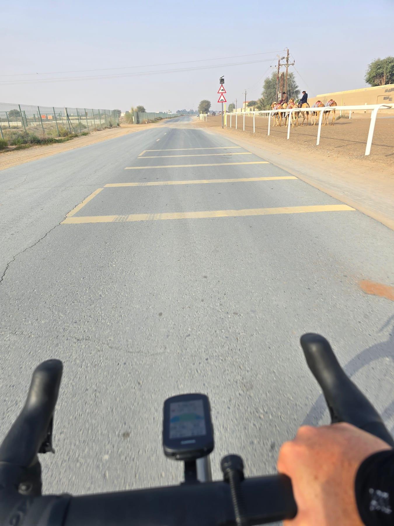 Sevens and Camel Track Loop