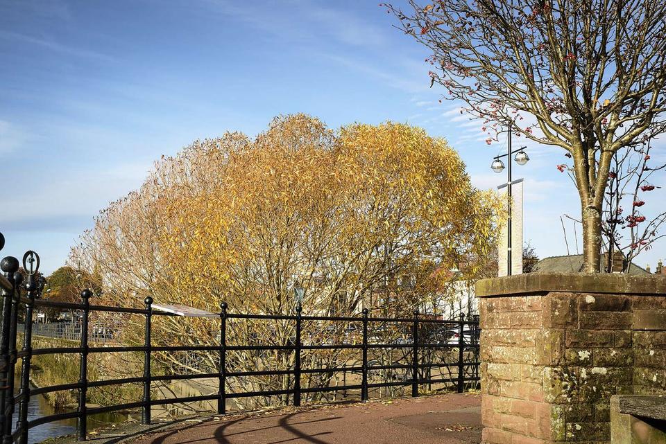 On the road: Dumfries to Moniaive