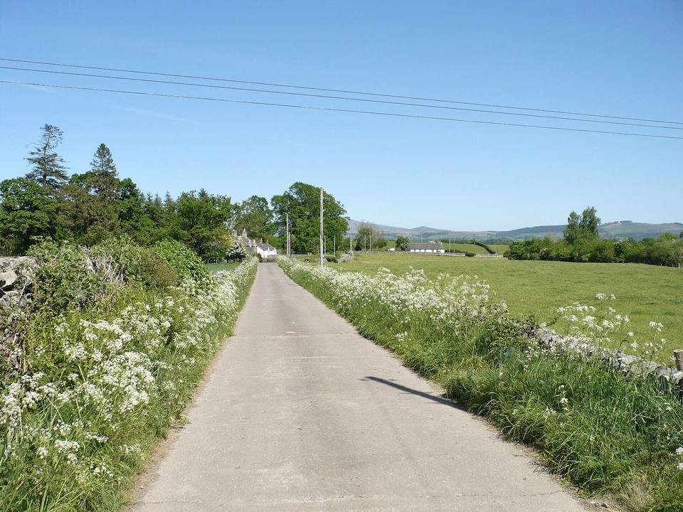 Track to Bogrough, near Penpont