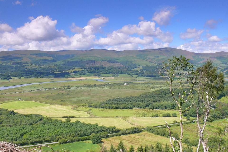 Dyfi
