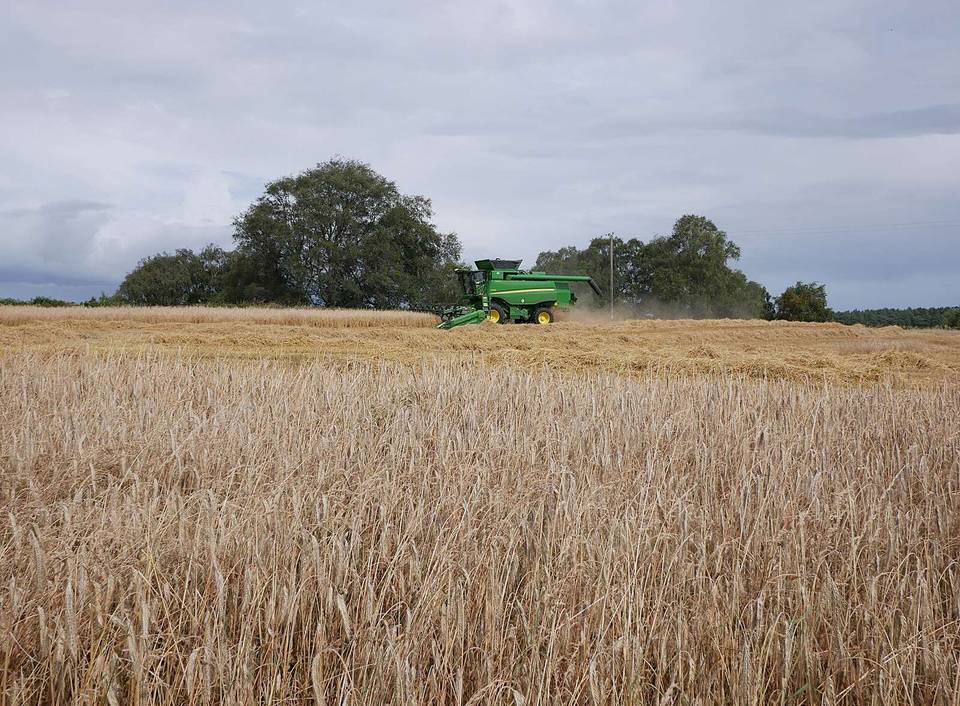 Combine harvester, by Cothill
