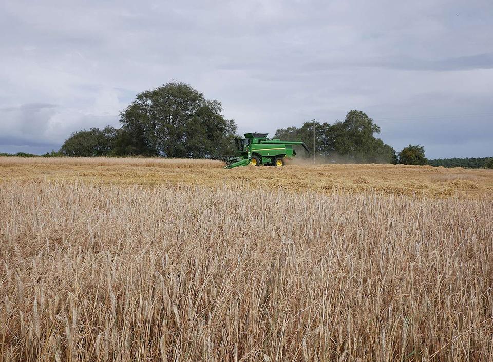Combine harvester, by Cothill