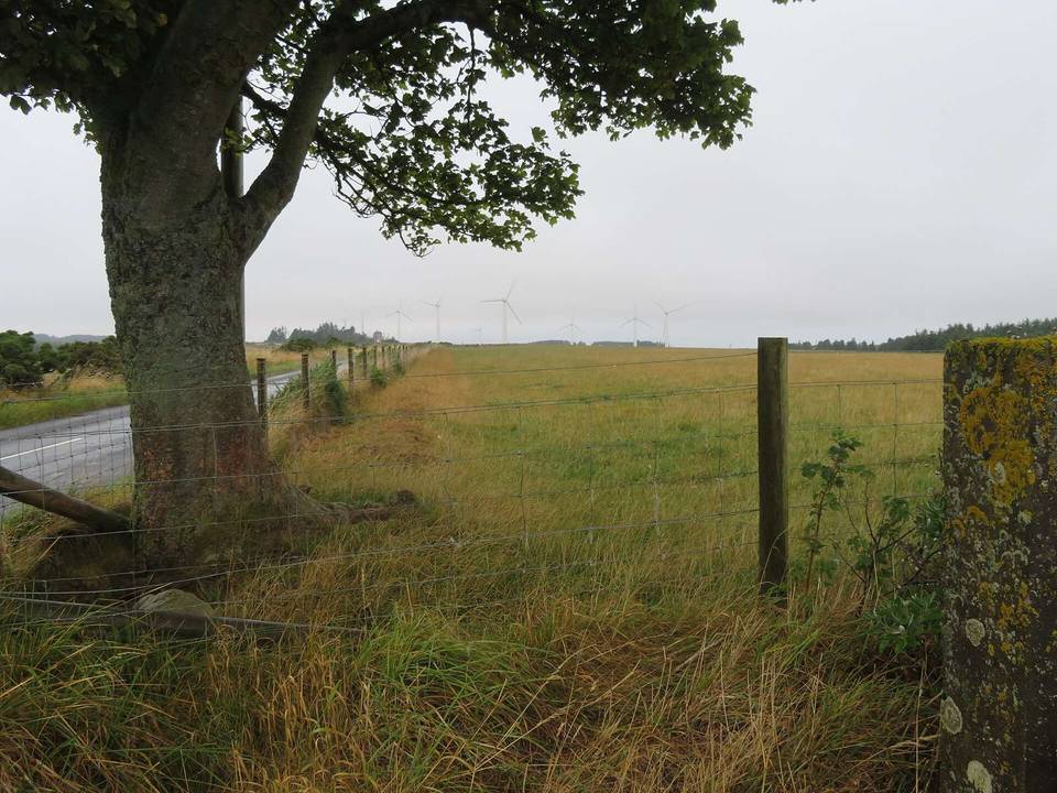On the road: Eyemouth Yellow Route