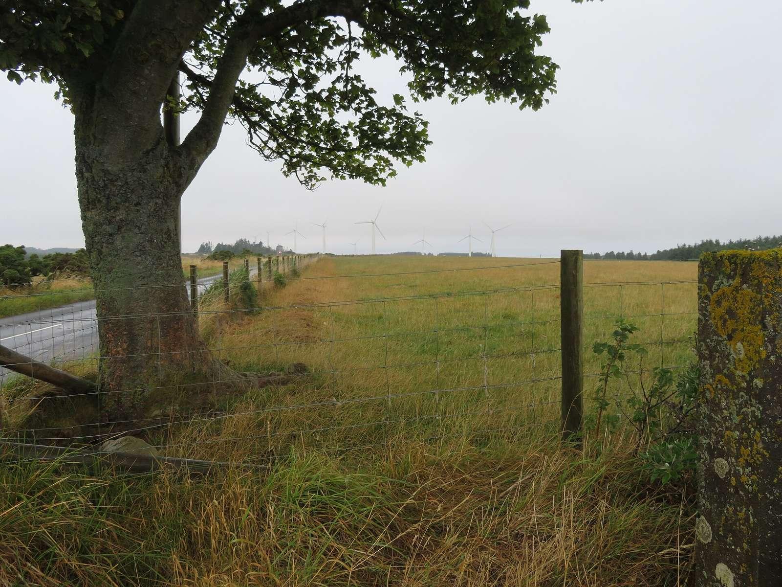Pasture at Springhill