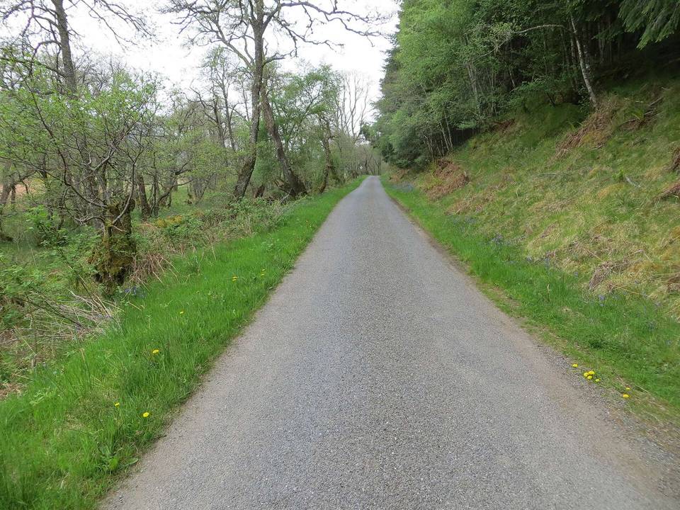 Minor road beside Crochail Wood