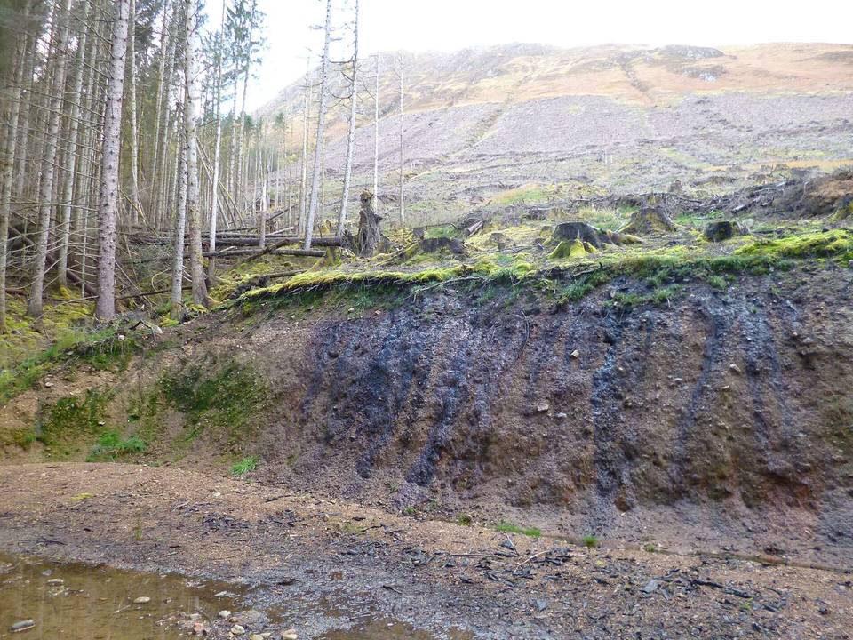 Logging by the Great Glen Way, Loch Lochy