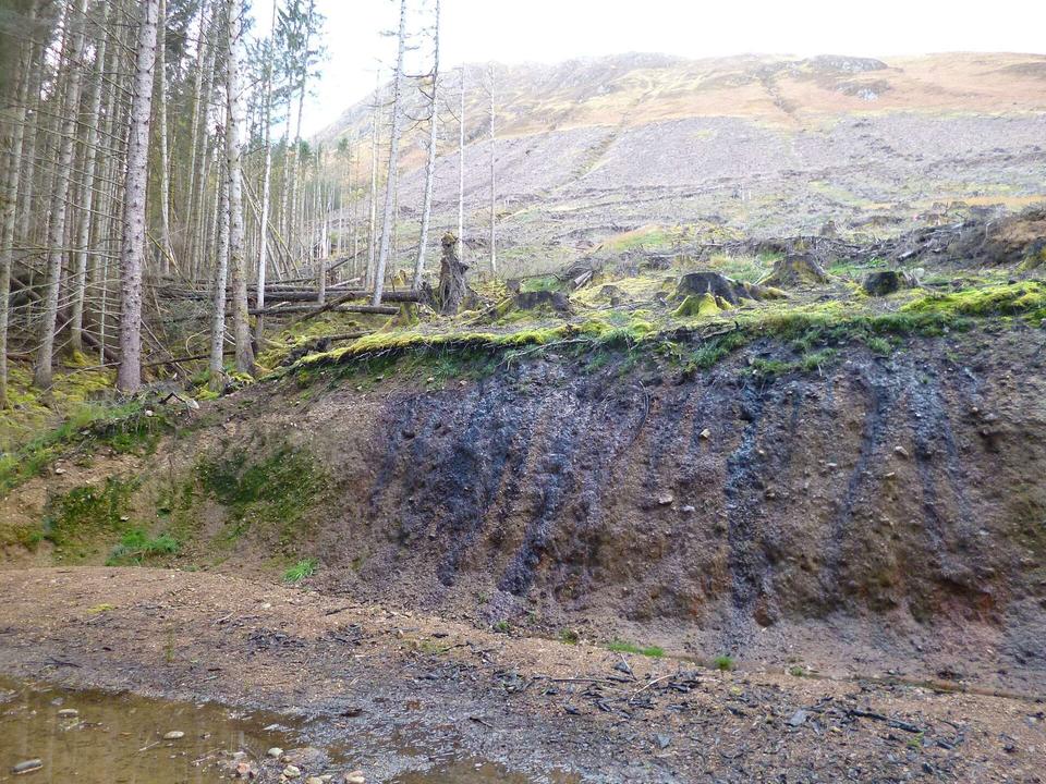Logging by the Great Glen Way, Loch Lochy