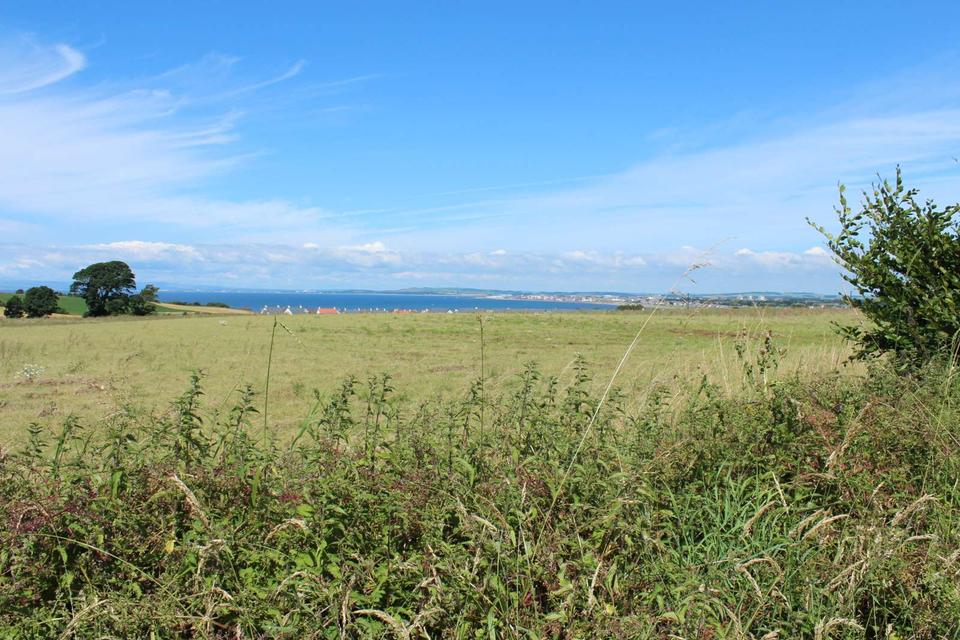 Farmland at Burton Smithy