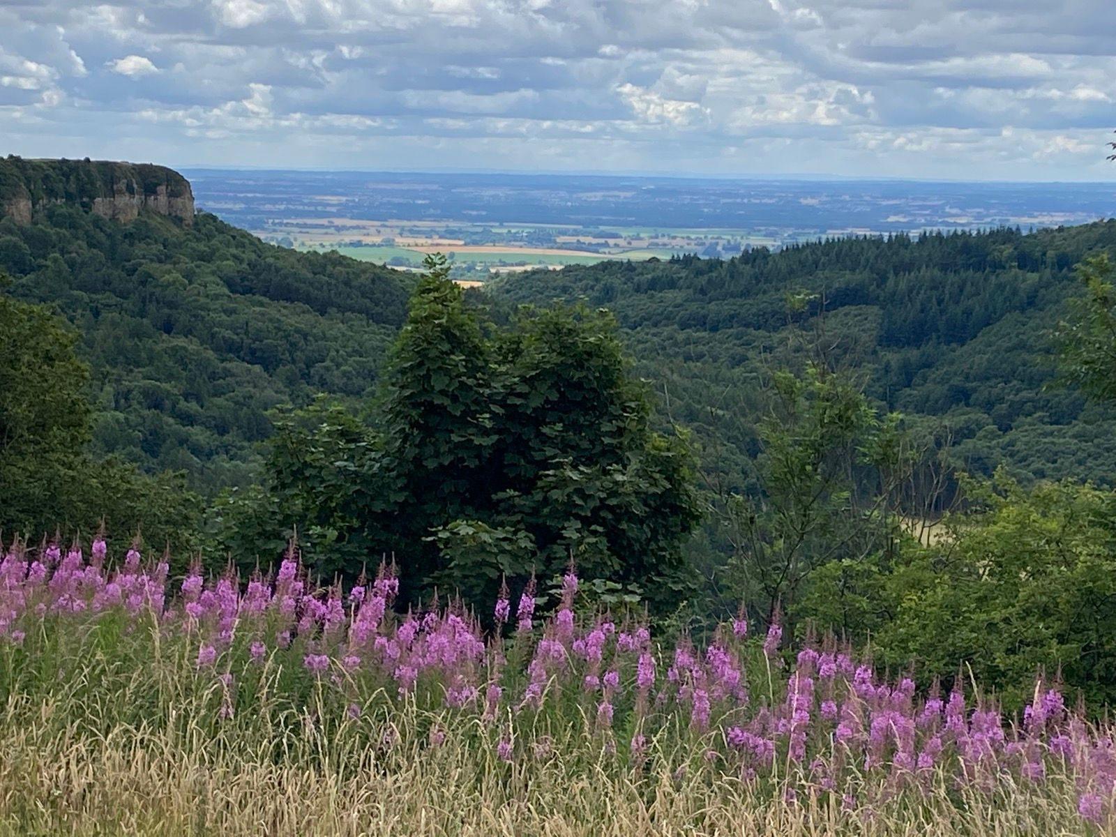 Angram Grange climb