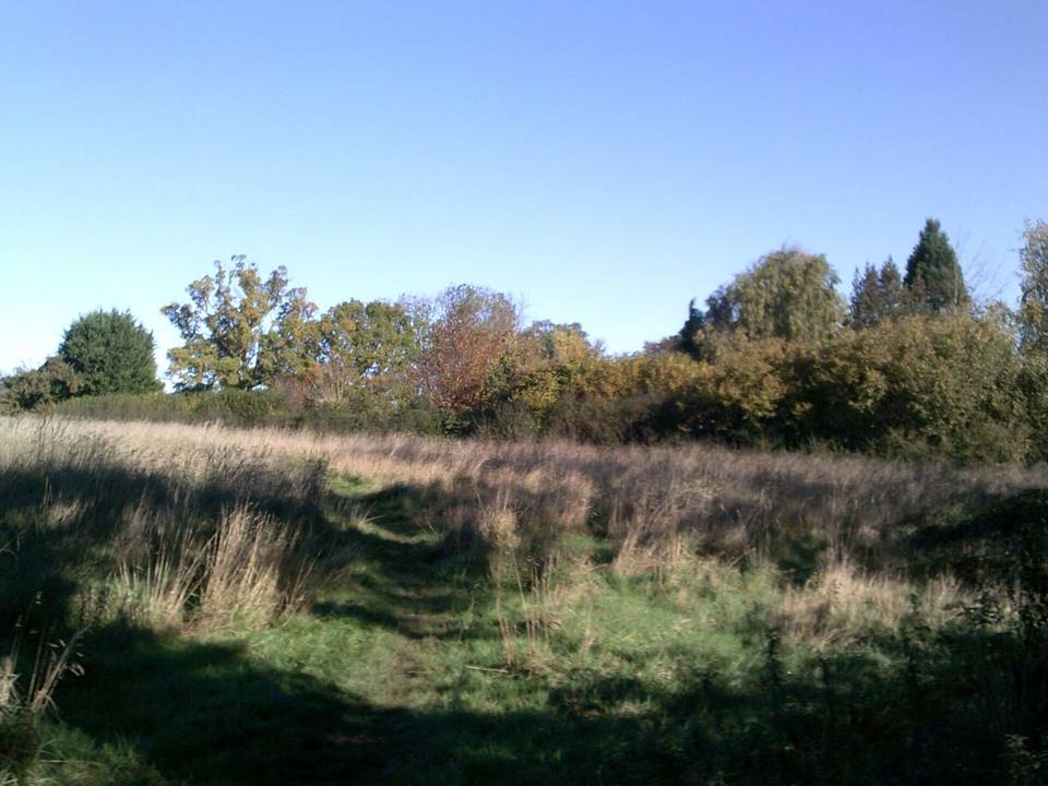South Bucks Way path near Little Kingshill