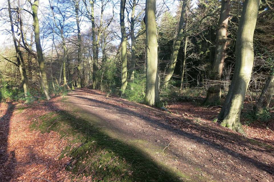 Grim's Ditch at Redland End