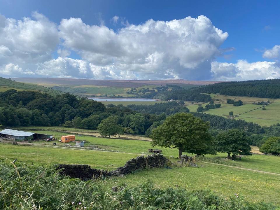 Cycling in Green Moor