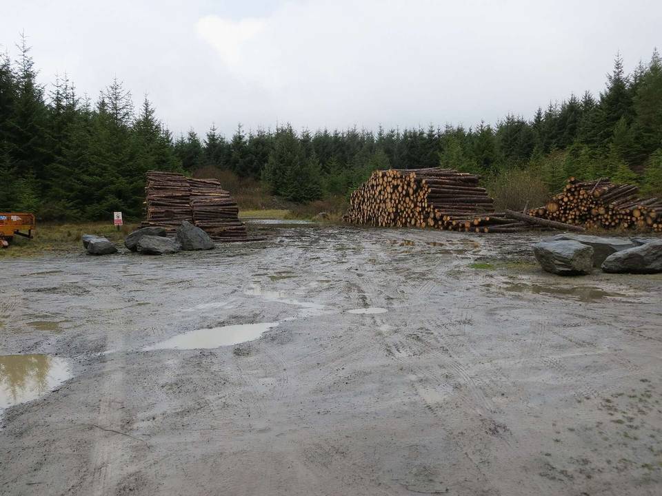 Harvested lumber from Clocaenog Forest awaiting onward transportation