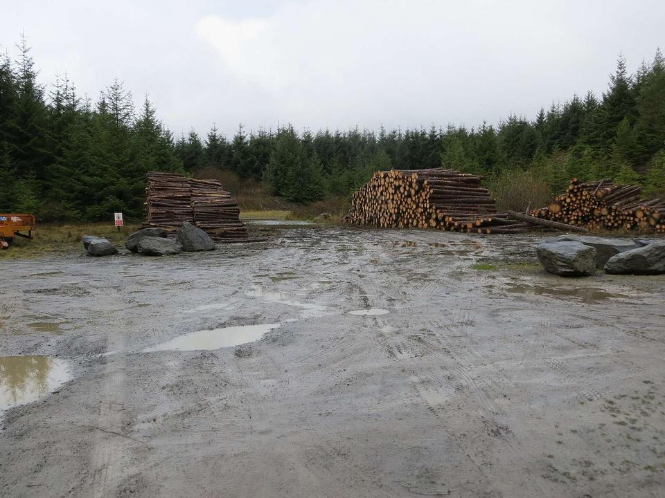 Harvested lumber from Clocaenog Forest awaiting onward transportation