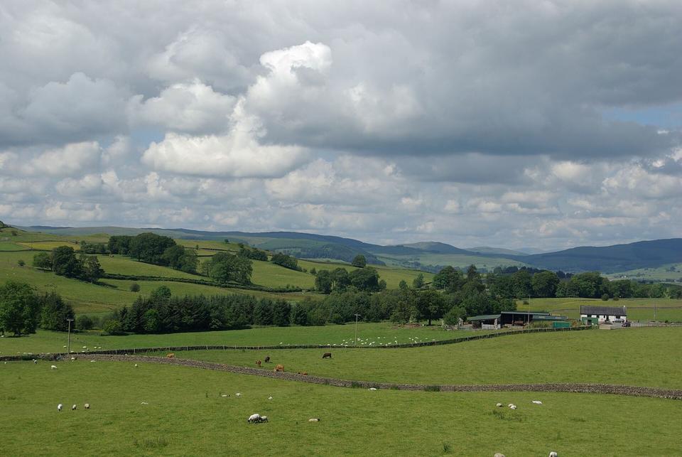 On the road: Kirkpatrick Macmillan Cycle Trail