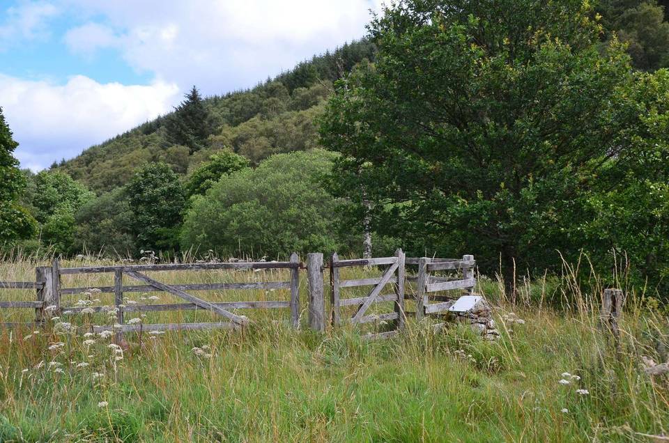 Former picnic site by the B709