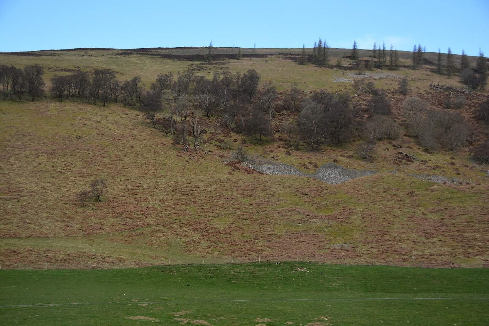 Scottish Borders : Countryside Scenery