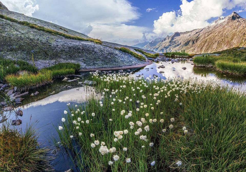 Grimsel Pass, Obergoms, Switzerland