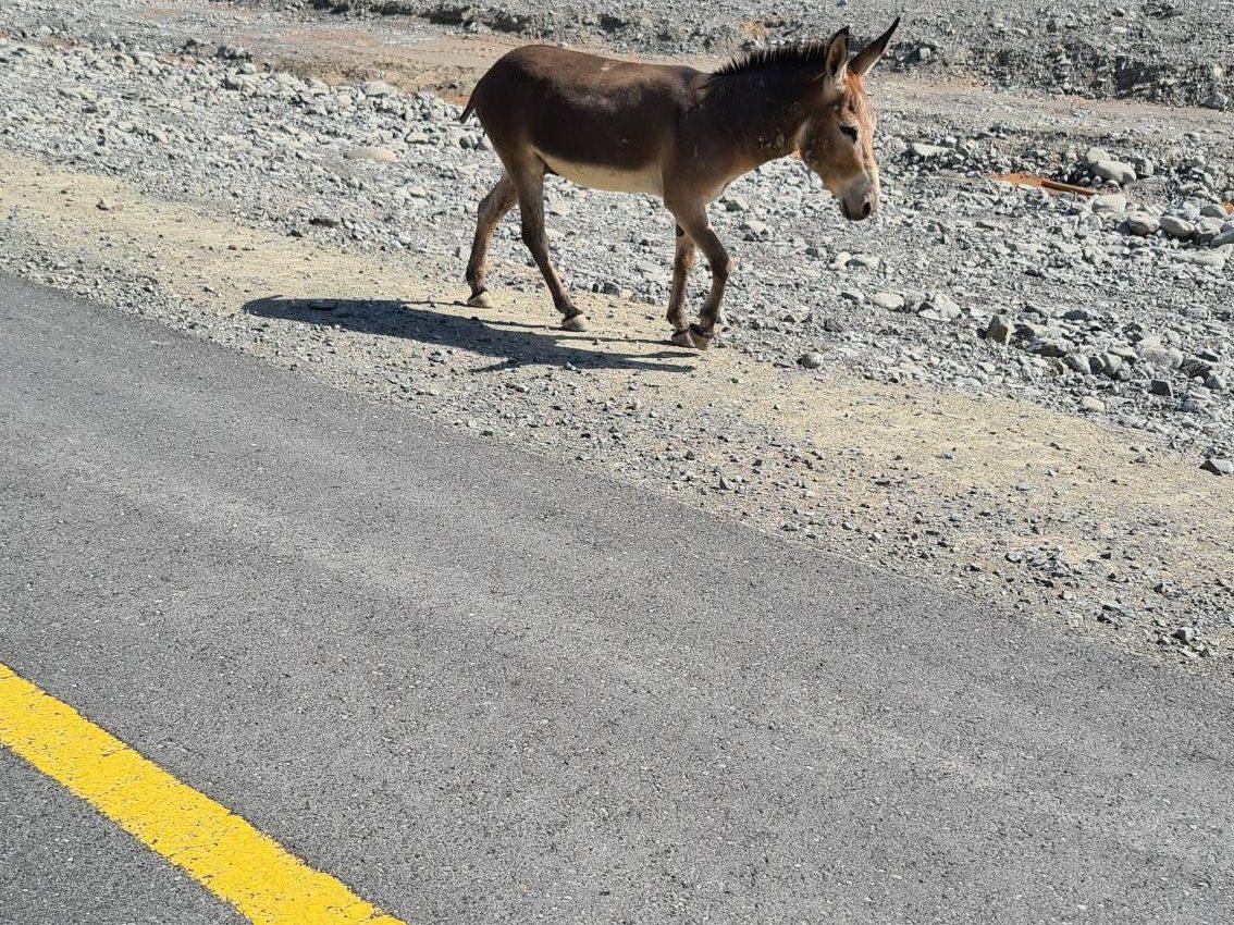 On the road: Kalba to Dubai via Hatta