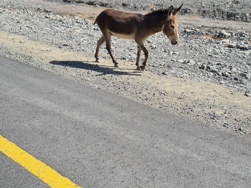 On the road: Kalba to Dubai via Hatta