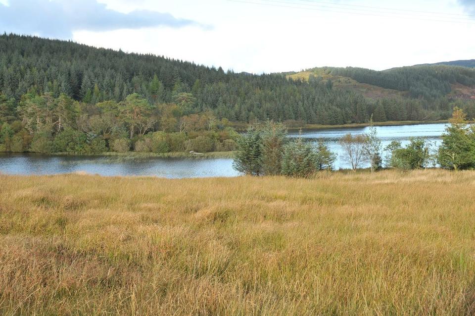 Loch Melldalloch