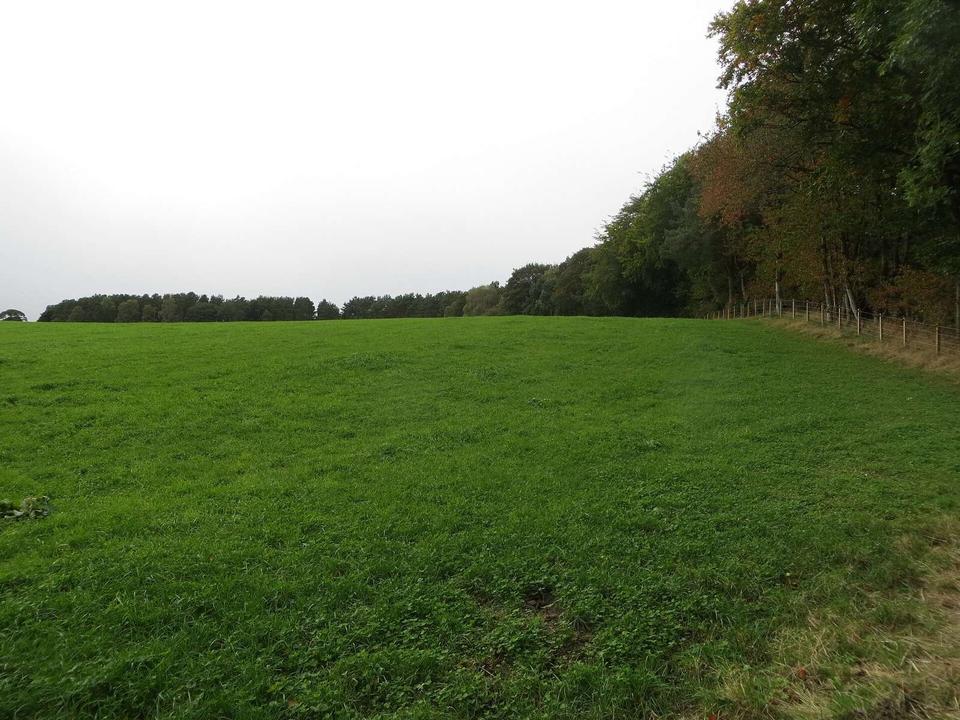 Pastureland near Old Ormiston
