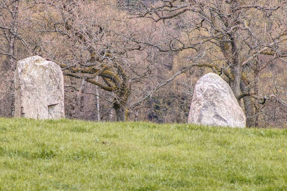 This is a photo of scheduled monument number