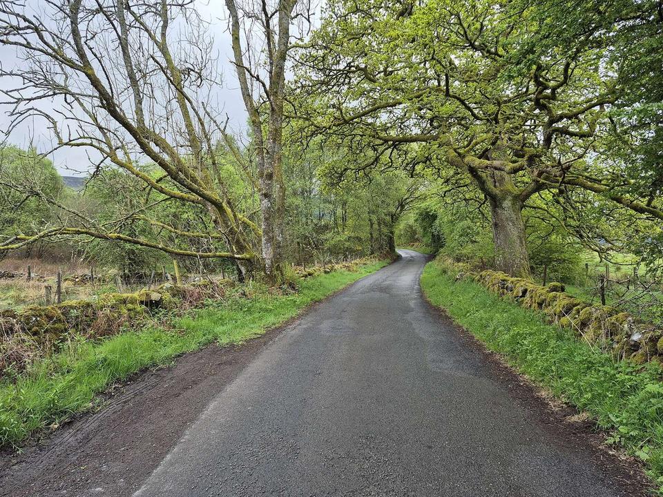 Minor road near Easter Dullater