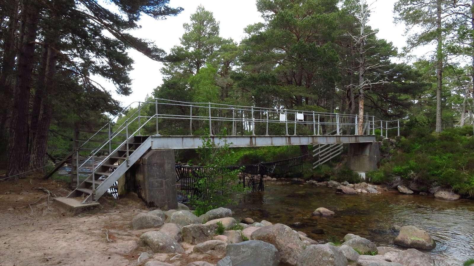 Cairngorm Club Footbridge, Rothiemurchus Forest