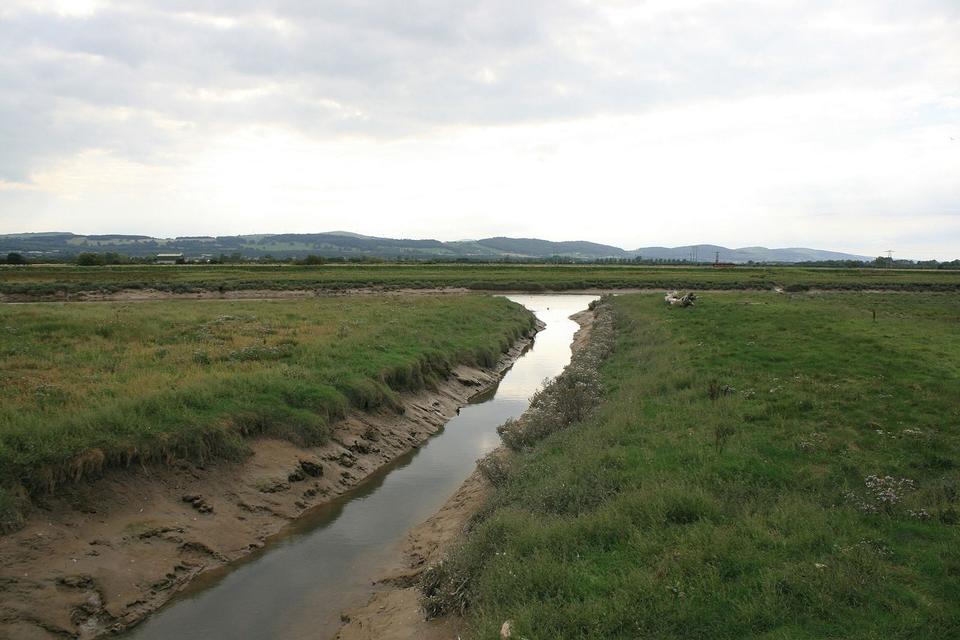 Stream entering the River Clwyd (Afon Clwyd)
