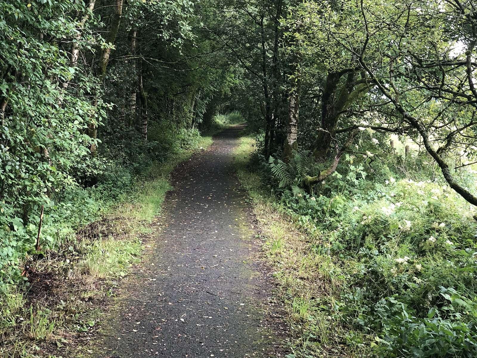 Blane Valley Railway trackbed