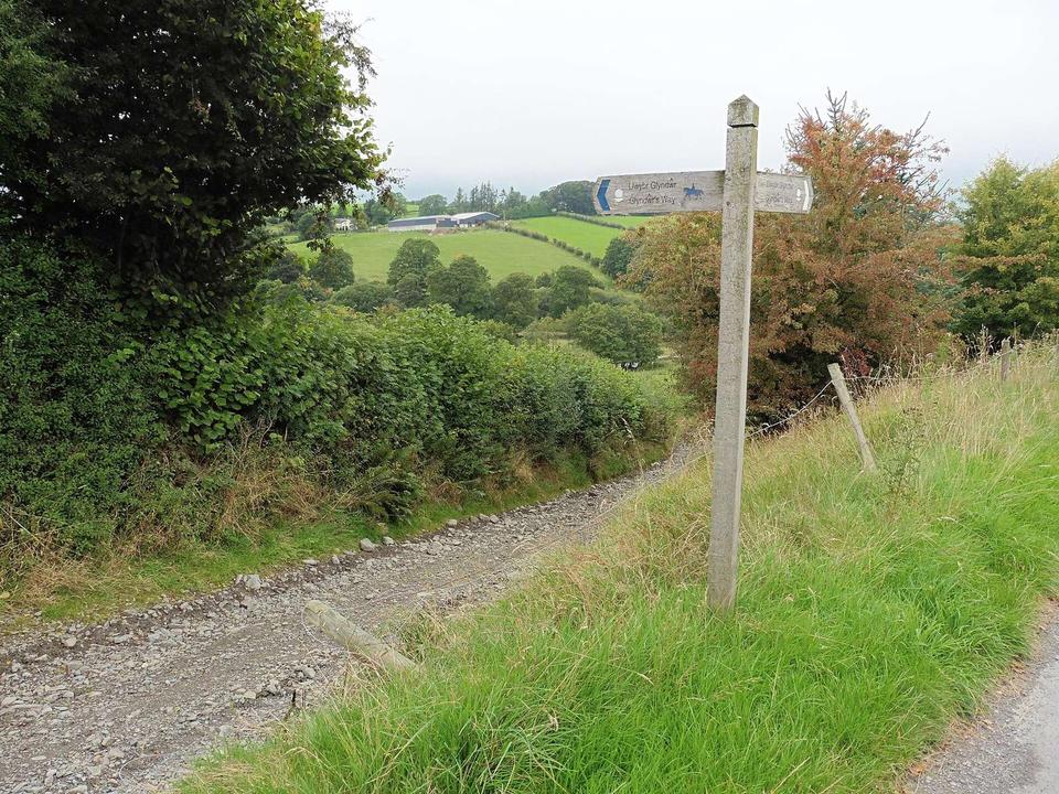 Glyndwr's Way near Llanbadarn Fynydd