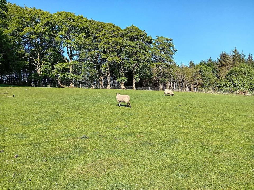 A view of Robbiesland in Lanark.