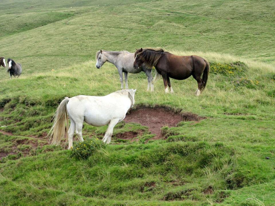 On the road: Llansantffraed-Cwmdeuddwr to Abergavenny