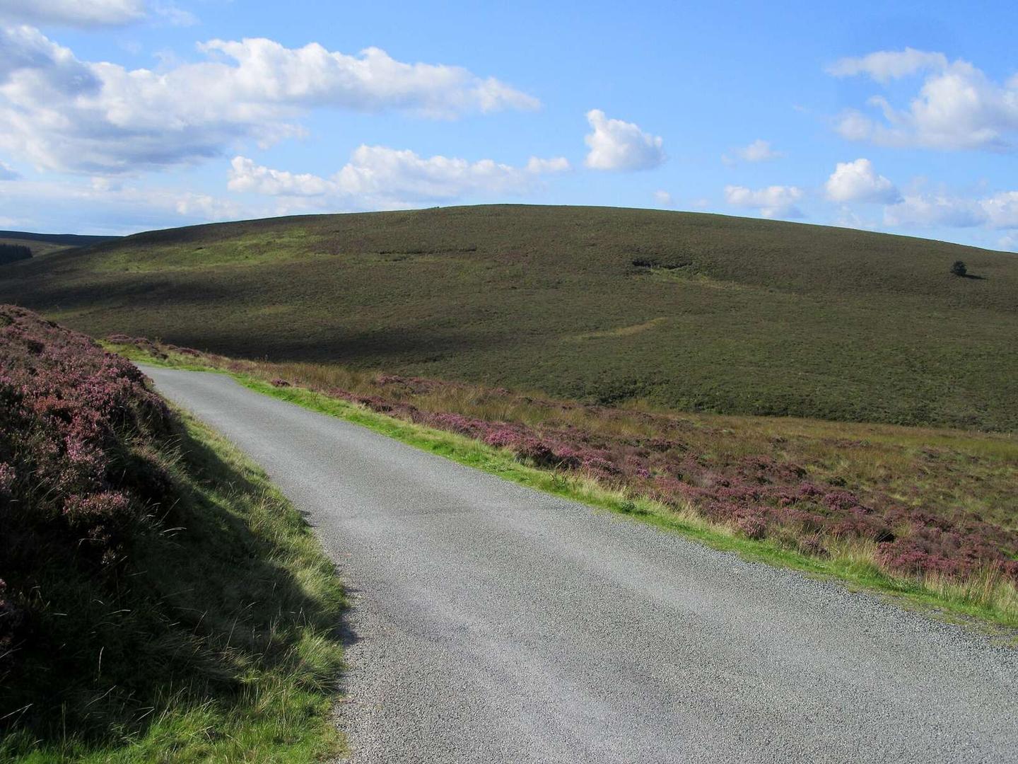 Heather moorland at the summit of the Hirnant Pass