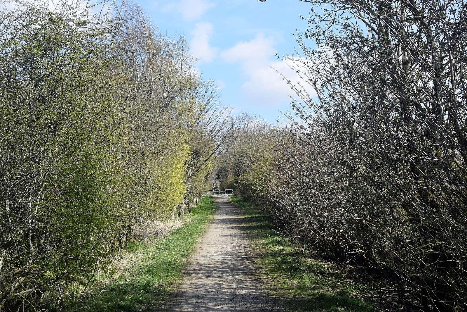 Approaching a crossing point...