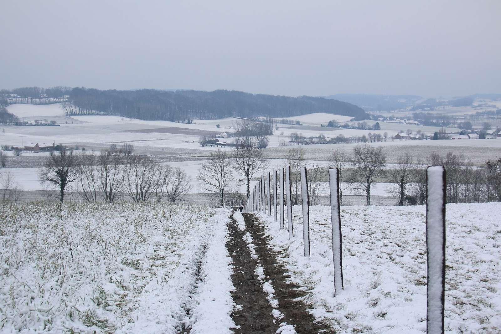 Zicht richting Zulzeke en het Spijkerbos van op de Koppenberg, Vlaamse Ardennen, Melden, Oudenaarde, Vlaanderen, België