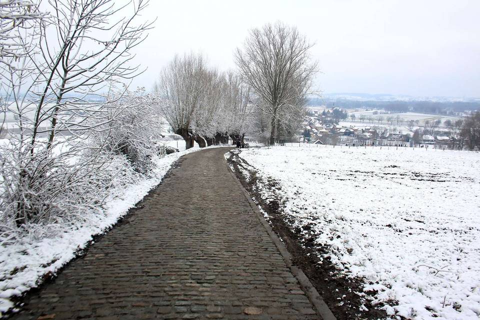 Koppenberg, Vlaamse Ardennen, Melden, Oudenaarde, Vlaanderen, België