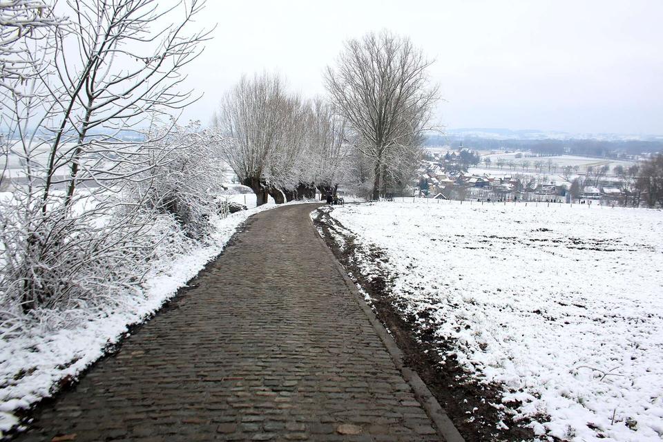Koppenberg, Vlaamse Ardennen, Melden, Oudenaarde, Vlaanderen, België
